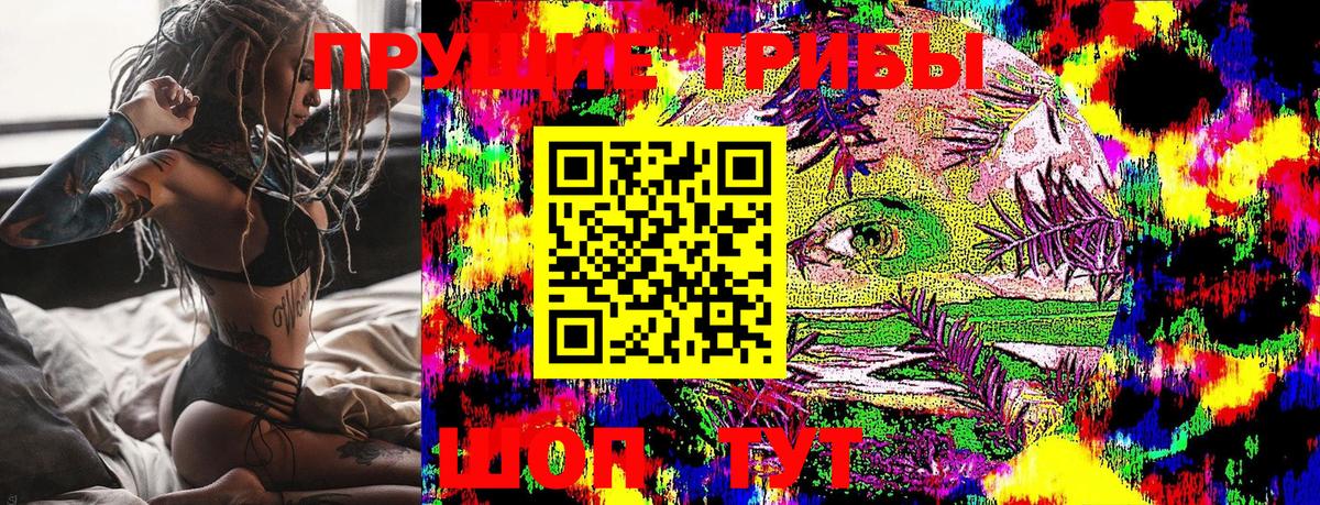 цена наркотик  Вход с VPN  Галлюциногенные грибы Magic Shrooms  Сочи  Галлюциногенные грибы Psilocybine cubensis 