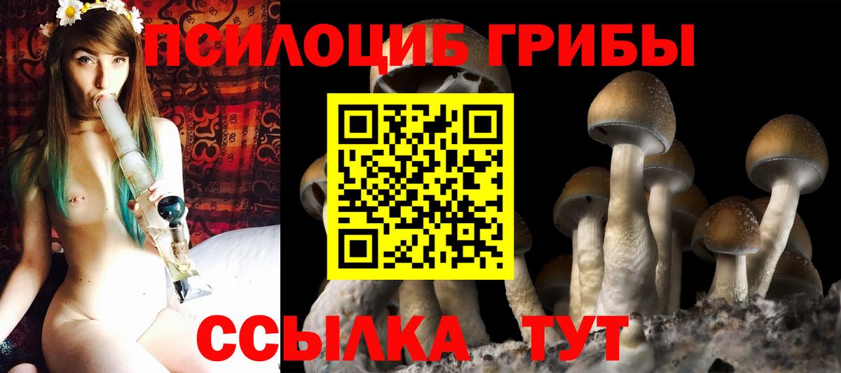 Псилоцибиновые грибы ЛСД Сочи